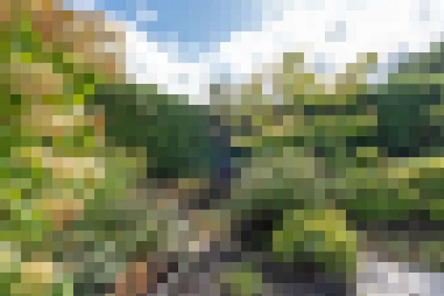 Ripperdalaan 1 Peize thumbnail 48