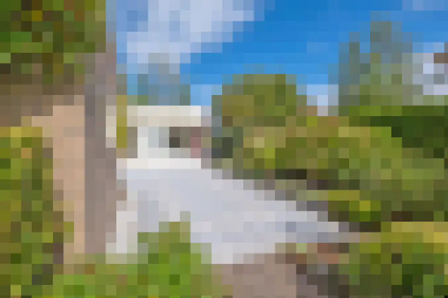Ripperdalaan 1 Peize thumbnail 50