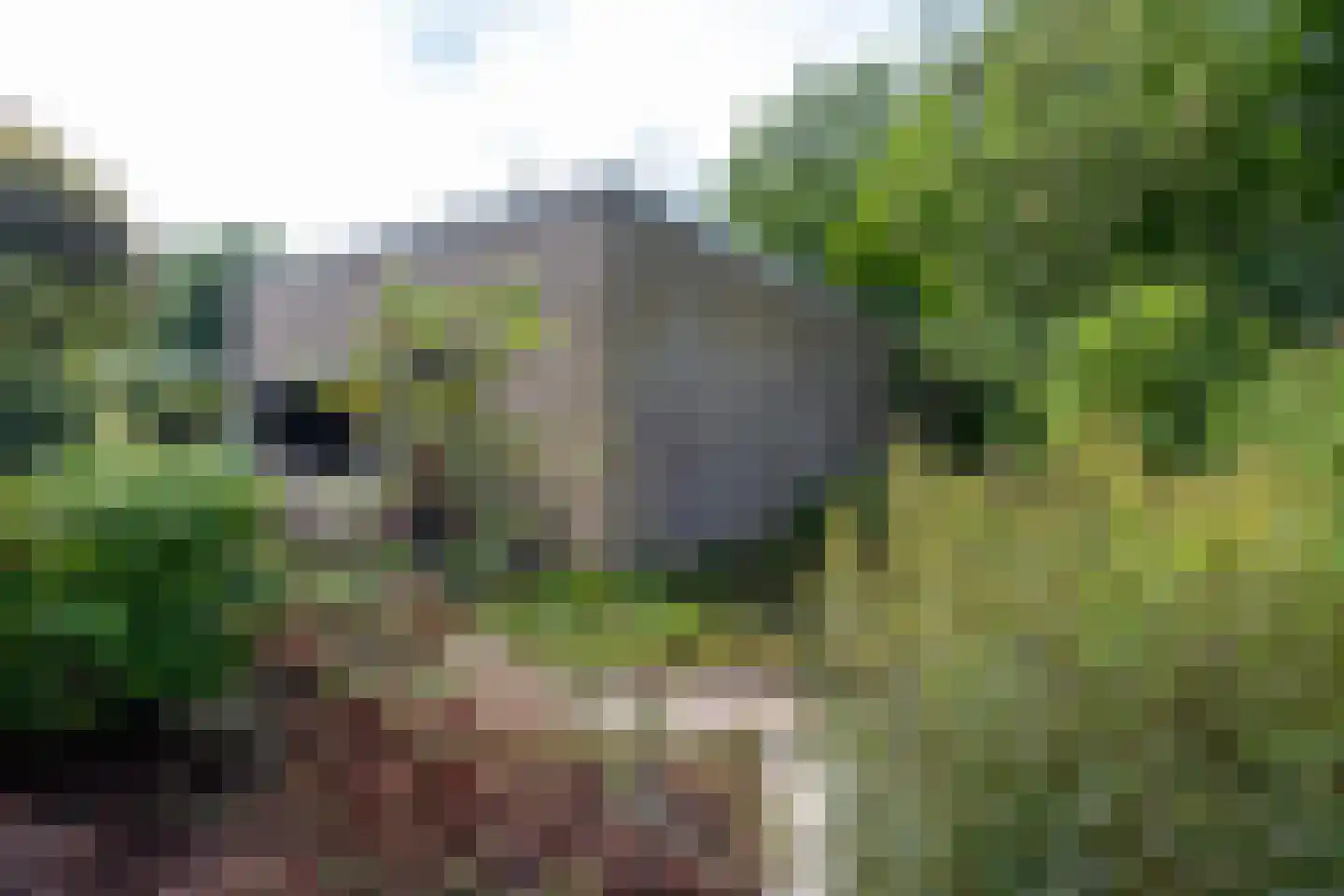 Ripperdalaan 1 Peize thumbnail 51