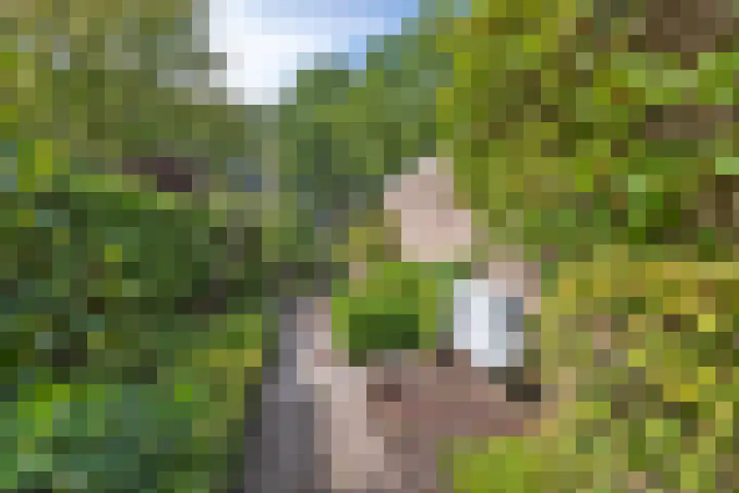 Ripperdalaan 1 Peize thumbnail 52