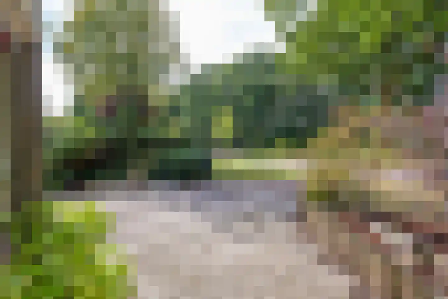 Ripperdalaan 1 Peize thumbnail 7