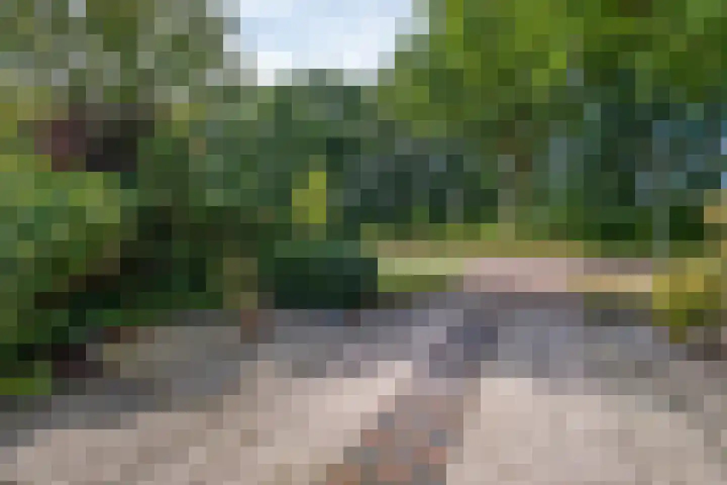 Ripperdalaan 1 Peize thumbnail 8