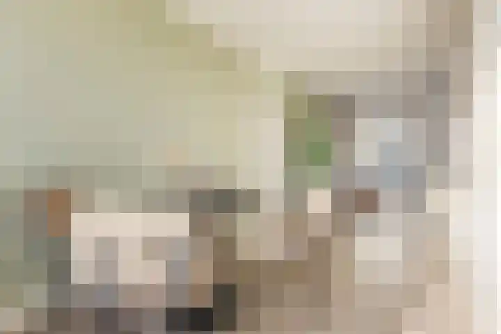 Ripperdalaan 11 b Groningen thumbnail 13