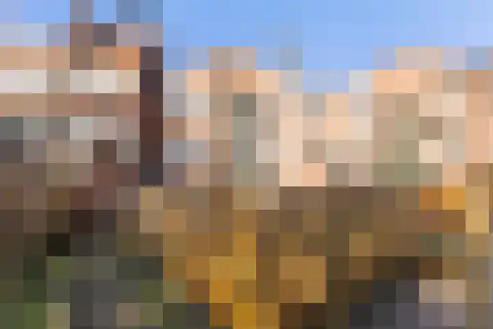 Ripperdalaan 11 b Groningen thumbnail 23