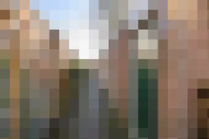 Ripperdalaan 11 b Groningen thumbnail 24