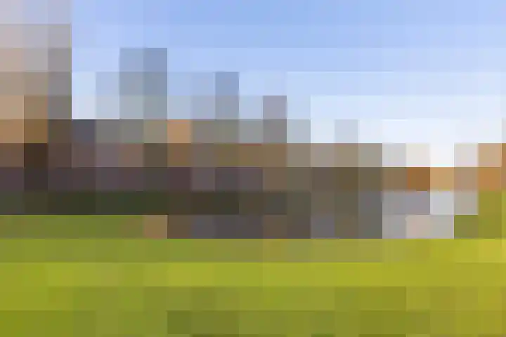 Ripperdalaan 11 b Groningen thumbnail 27
