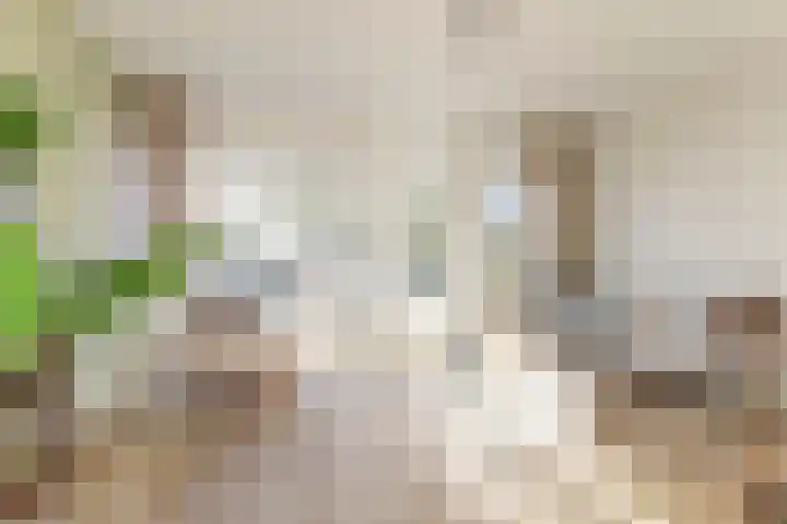 Ripperdalaan 11 b Groningen thumbnail 7