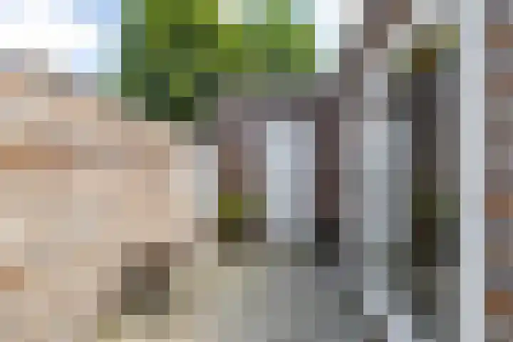Ripperdalaan 9 1 Groningen thumbnail 18