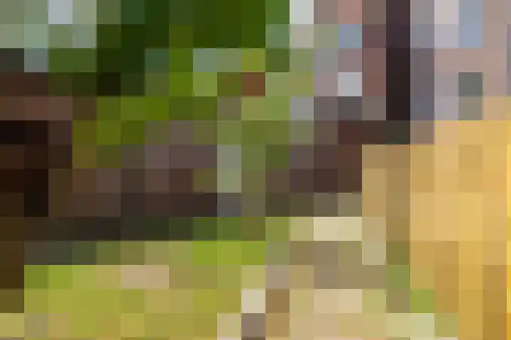 Ripperdalaan 9 1 Groningen thumbnail 19