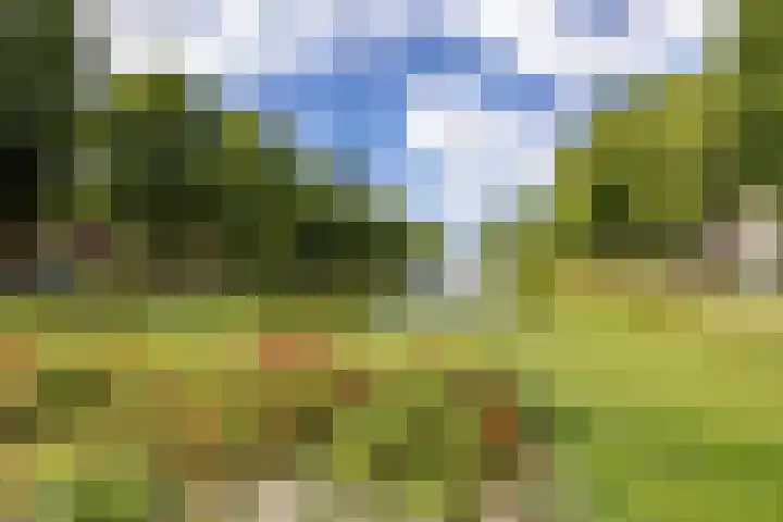Ripperdalaan 9 1 Groningen thumbnail 20