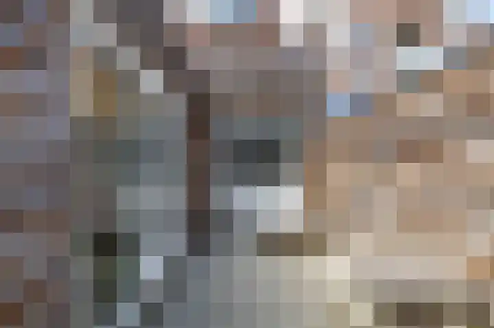 Ripperdalaan 9 1 Groningen thumbnail 4