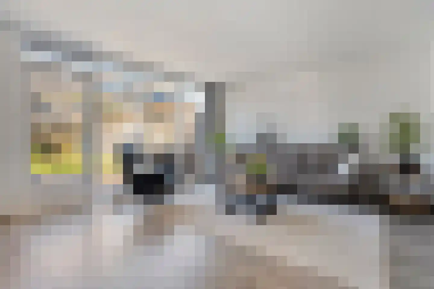 Ripperdamarke 23 Zwolle thumbnail 12