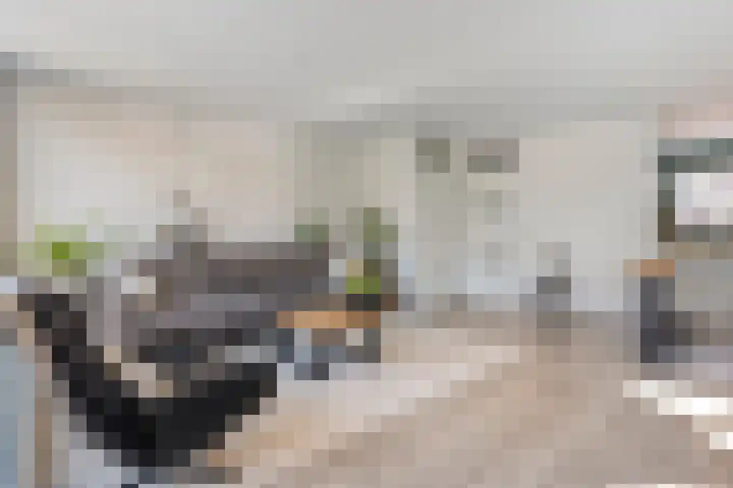 Ripperdamarke 23 Zwolle thumbnail 13