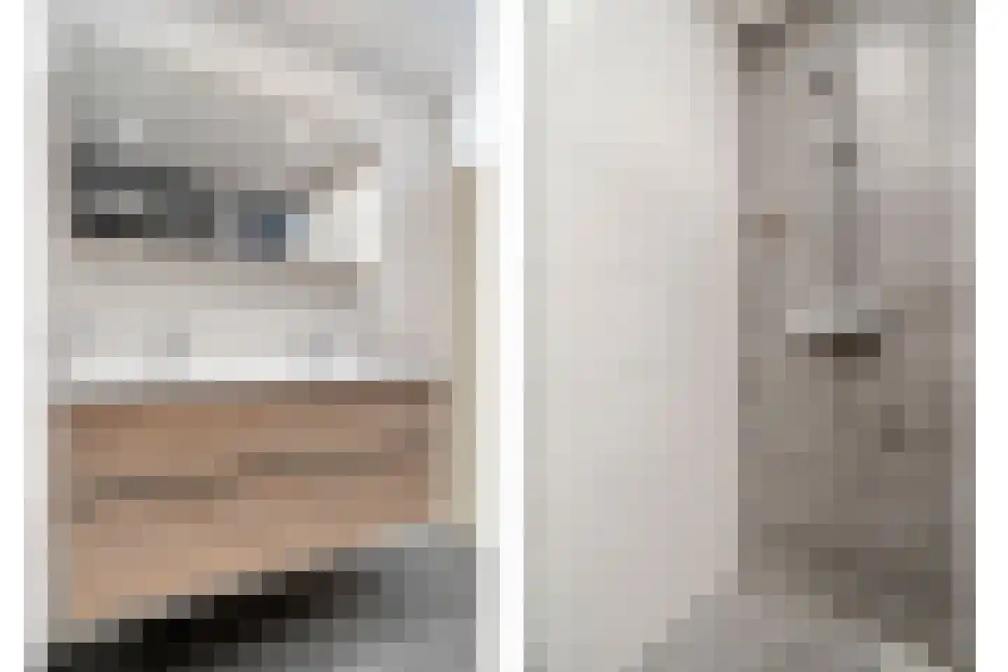 Ripperdamarke 23 Zwolle thumbnail 30