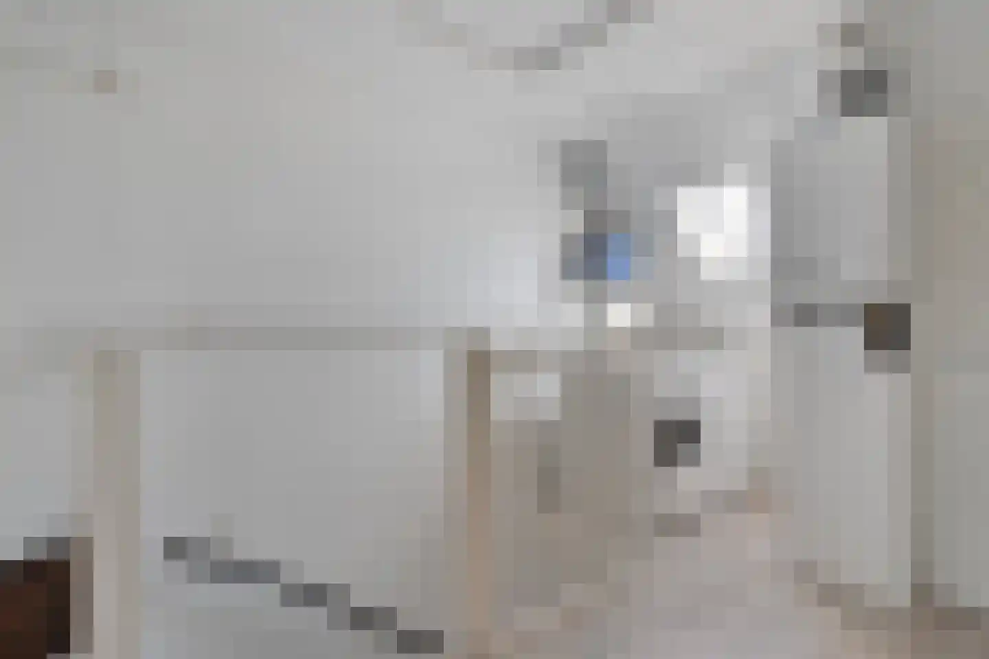 Ripperdamarke 23 Zwolle thumbnail 35