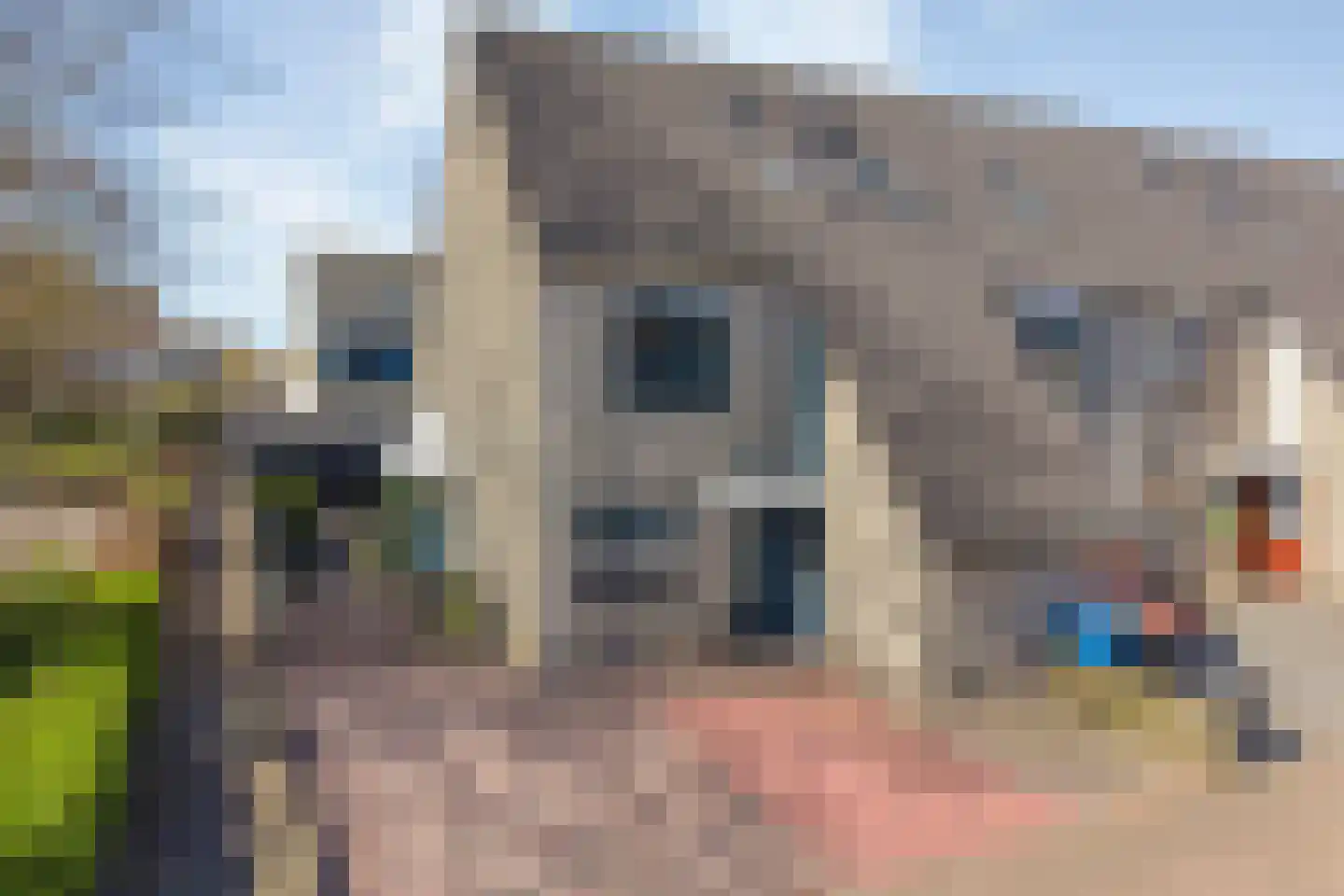 Ripperdamarke 23 Zwolle thumbnail 4
