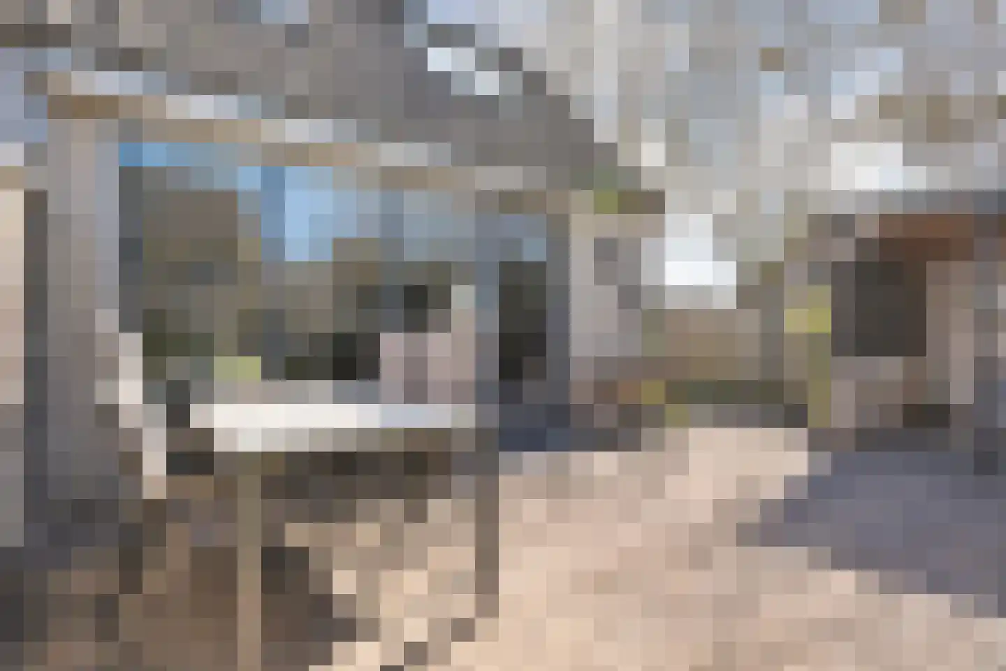 Ripperdamarke 23 Zwolle thumbnail 41