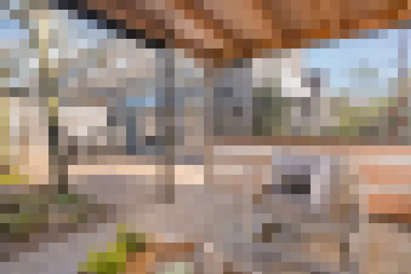Ripperdamarke 23 Zwolle thumbnail 44