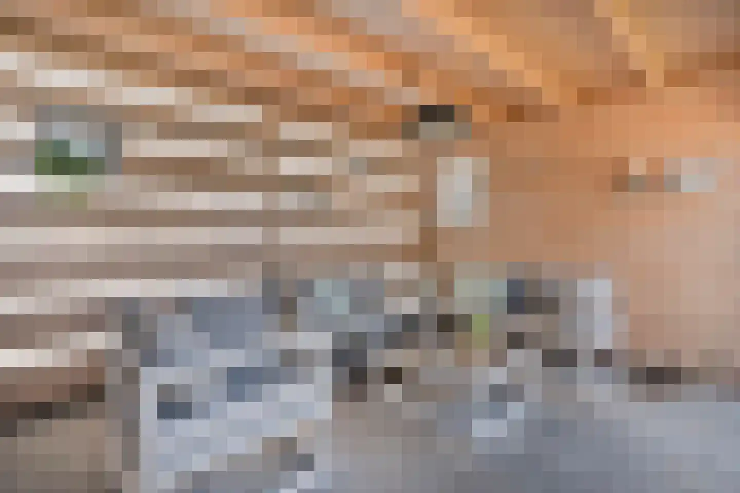 Ripperdamarke 23 Zwolle thumbnail 45