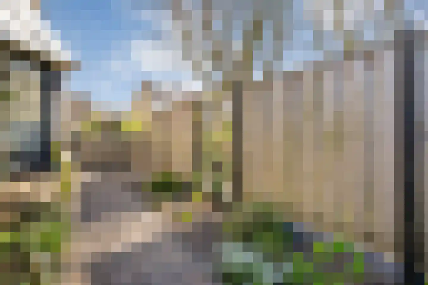 Ripperdamarke 23 Zwolle thumbnail 47