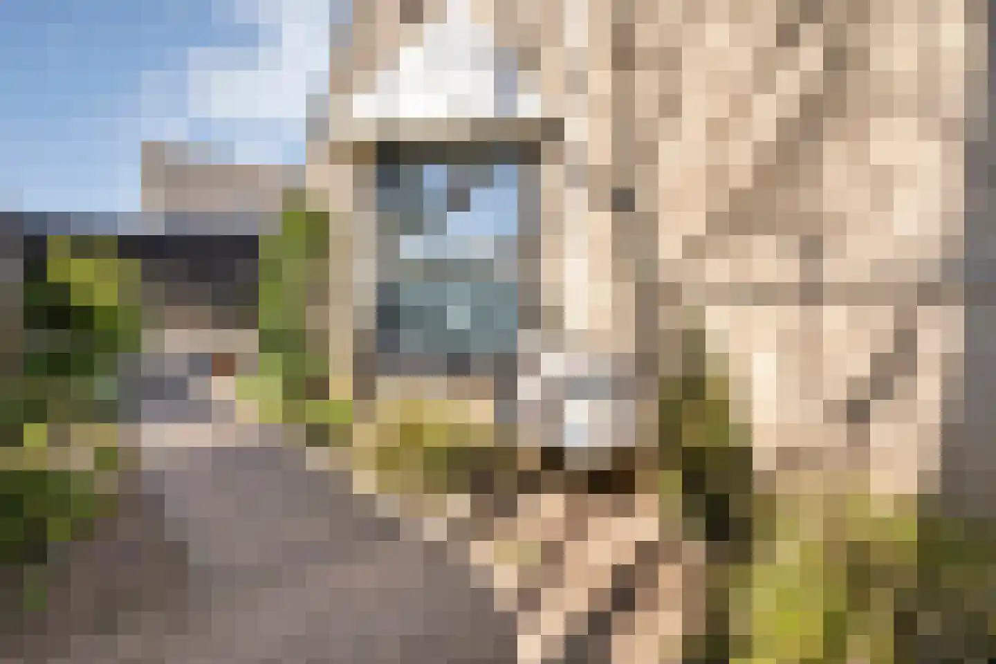 Ripperdamarke 23 Zwolle thumbnail 48