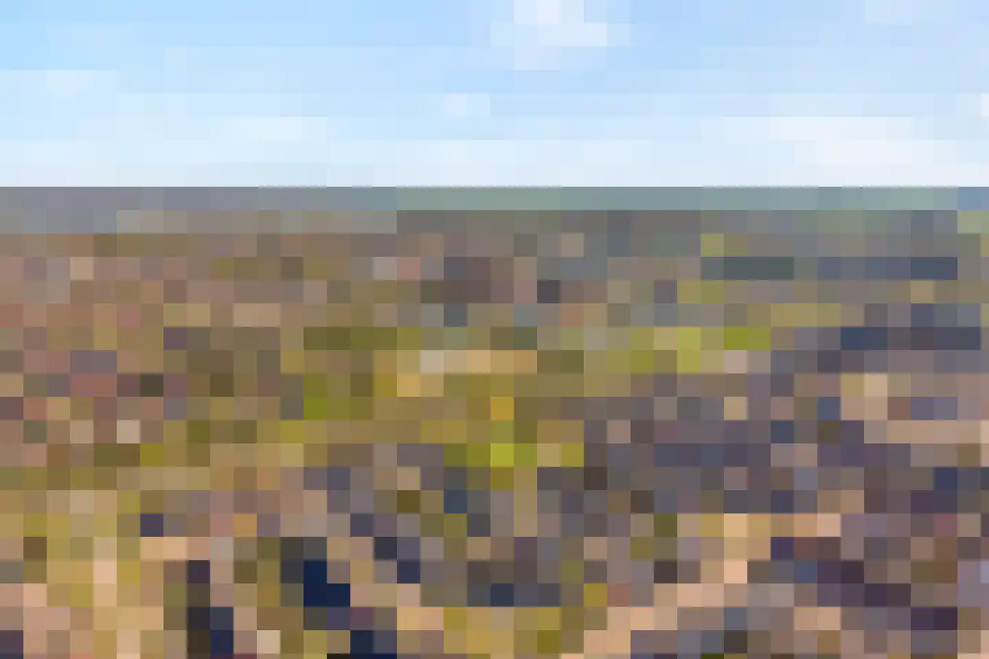 Ripperdamarke 23 Zwolle thumbnail 5