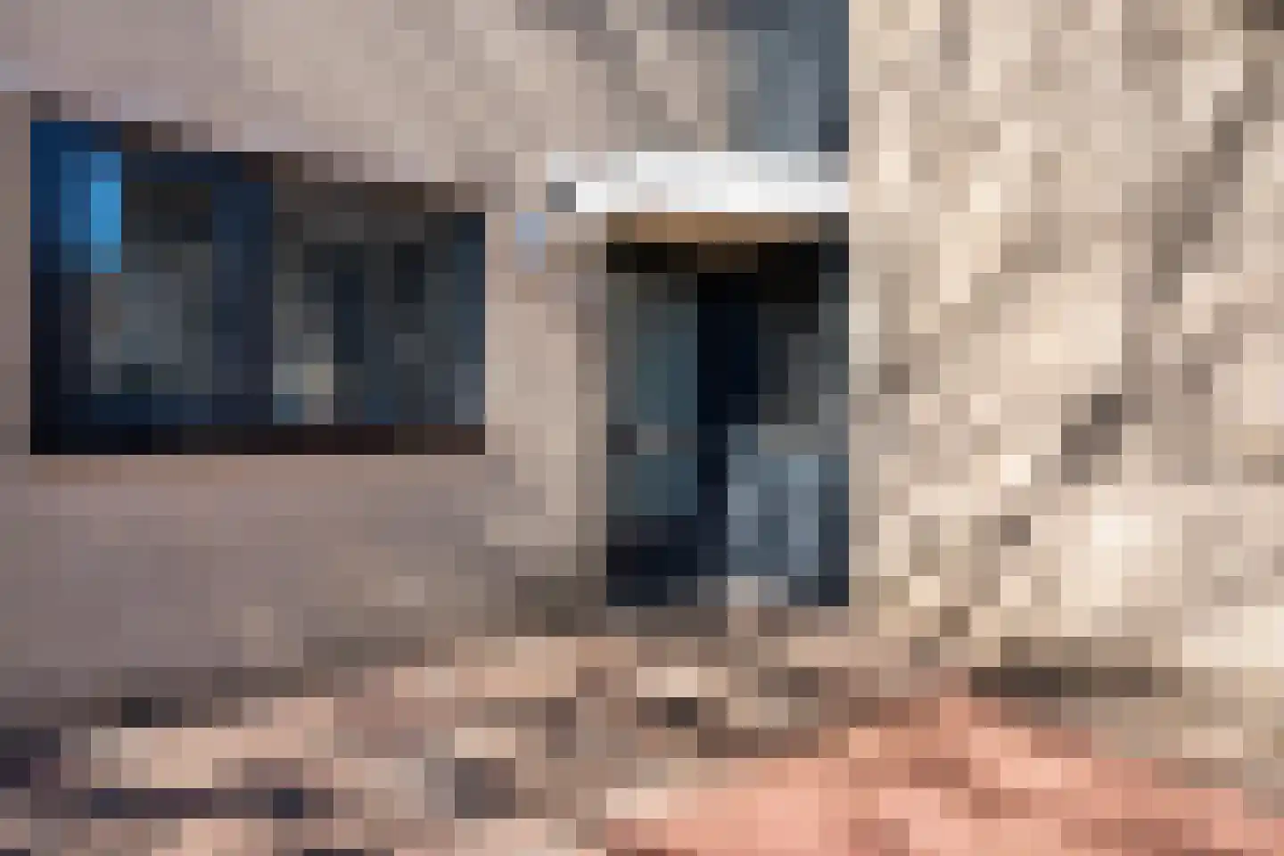 Ripperdamarke 23 Zwolle thumbnail 7
