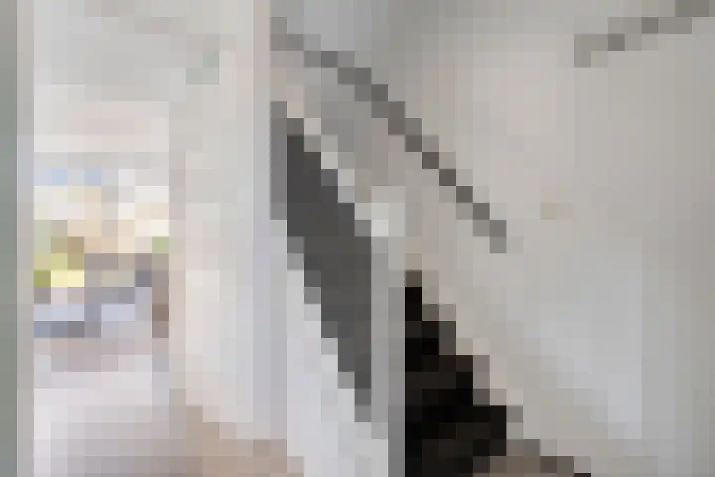 Ripperdamarke 23 Zwolle thumbnail 9