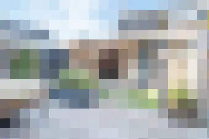 Ripperdamarke 3 Zwolle thumbnail 13