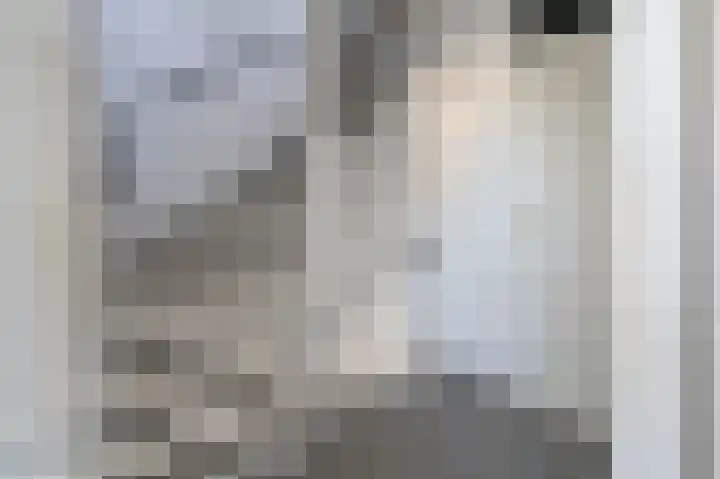 Ripperdamarke 3 Zwolle thumbnail 18