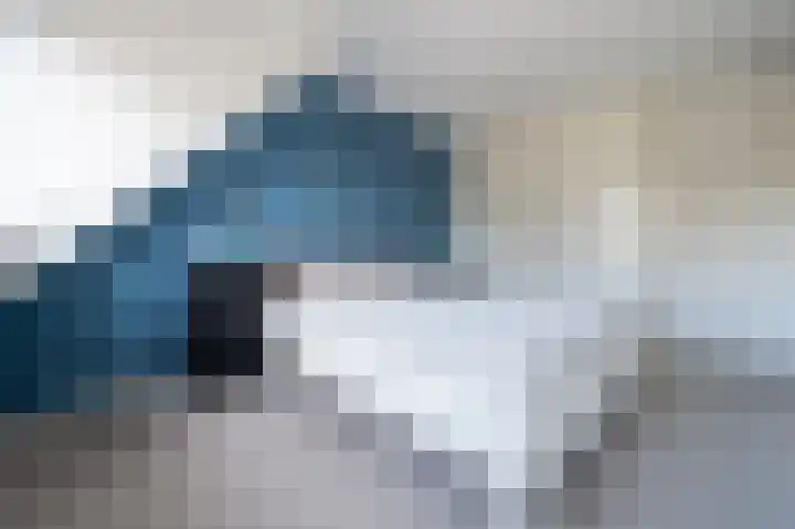 Ripperdamarke 3 Zwolle thumbnail 20