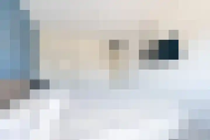 Ripperdamarke 3 Zwolle thumbnail 21