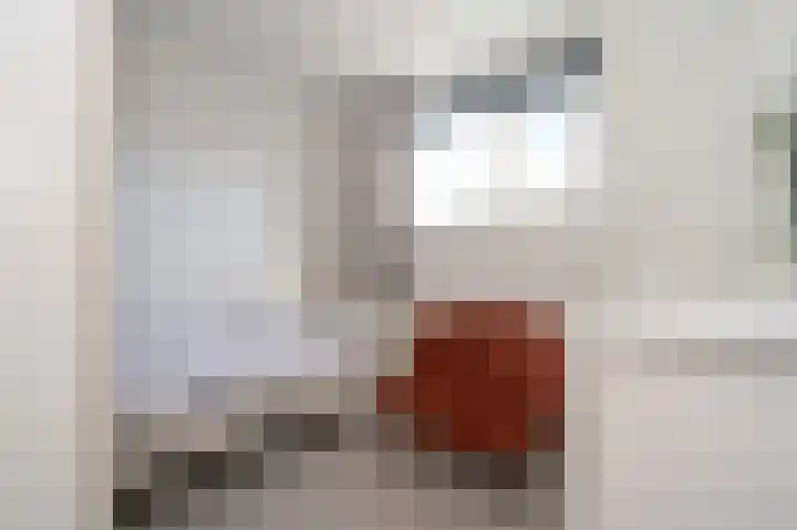 Ripperdamarke 3 Zwolle thumbnail 22