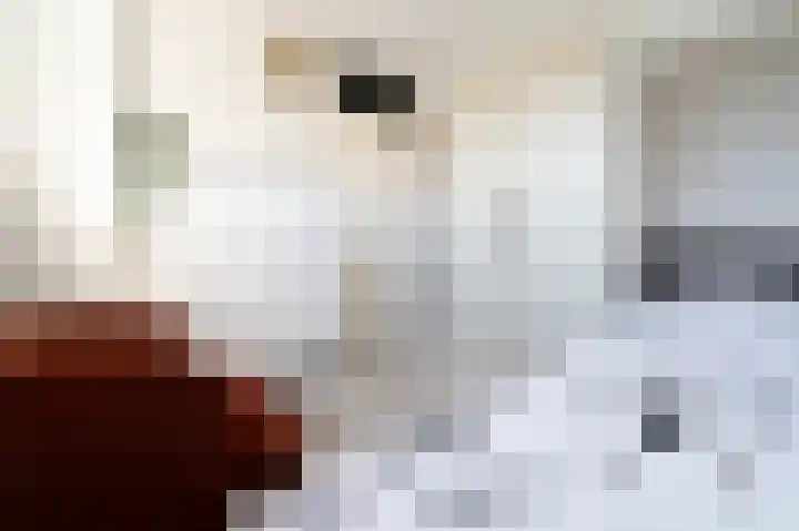 Ripperdamarke 3 Zwolle thumbnail 23