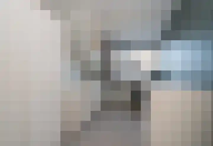 Ripperdamarke 3 Zwolle thumbnail 24