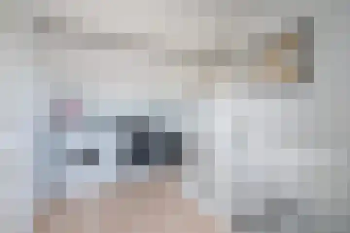 Ripperdamarke 3 Zwolle thumbnail 29
