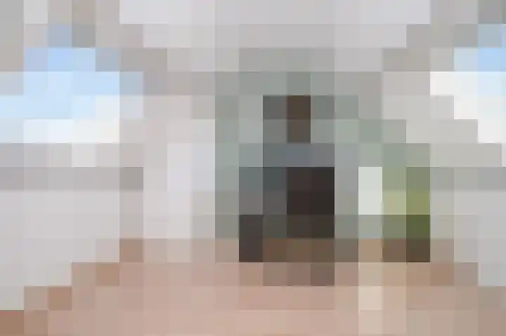 Ripperdamarke 3 Zwolle thumbnail 31