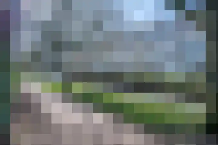 Ripperdamarke 3 Zwolle thumbnail 36