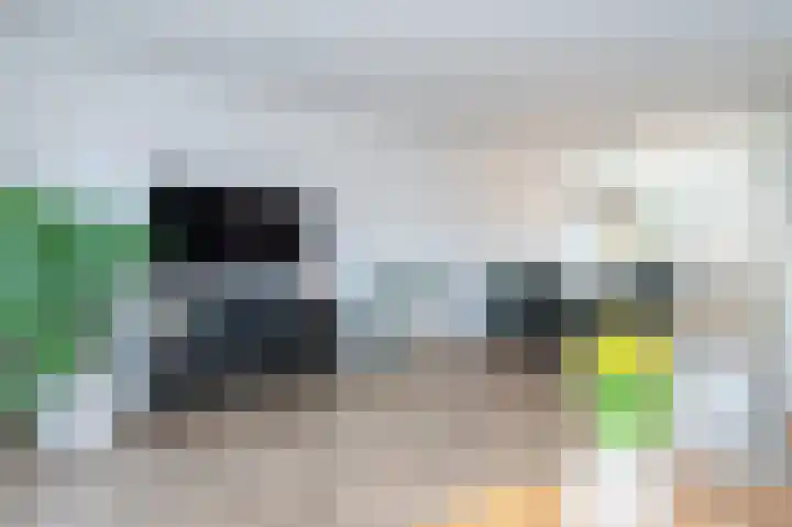 Ripperdamarke 3 Zwolle thumbnail 5
