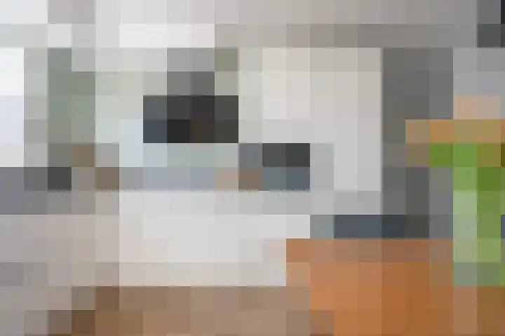 Ripperdamarke 3 Zwolle thumbnail 9