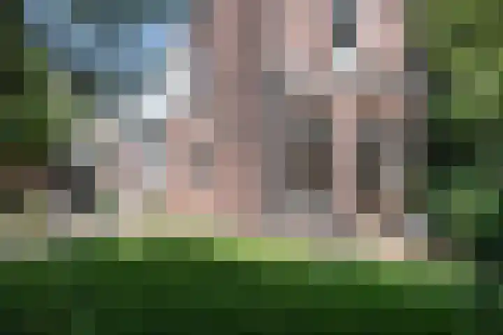 Ripperdapark 12 Haarlem thumbnail 19