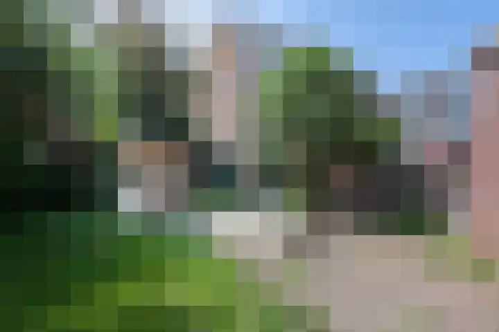 Ripperdapark 12 Haarlem thumbnail 21