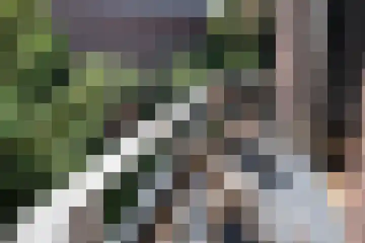 Ripperdapark 12 Haarlem thumbnail 30