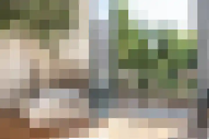 Ripperdapark 12 Haarlem thumbnail 31
