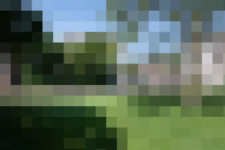 Ripperdapark 12 Haarlem thumbnail 4