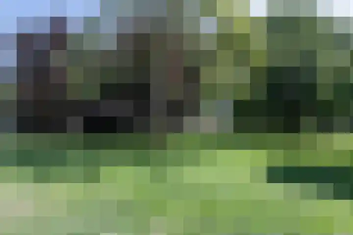 Ripperdapark 12 Haarlem thumbnail 41