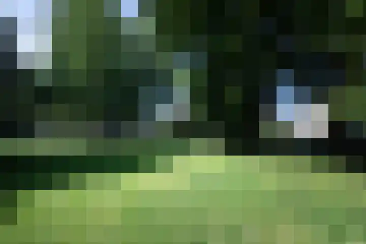Ripperdapark 12 Haarlem thumbnail 42