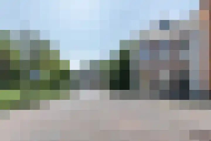 Ripperdapark 12 Haarlem thumbnail 43