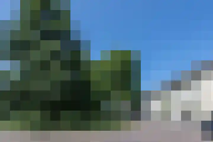 Ripperdapark 12 Haarlem thumbnail 44