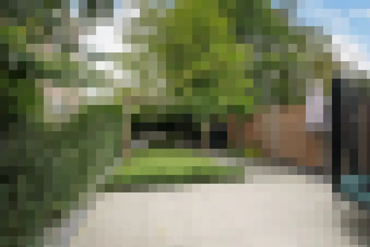 Ripperdastraat 14 Vlaardingen thumbnail 29